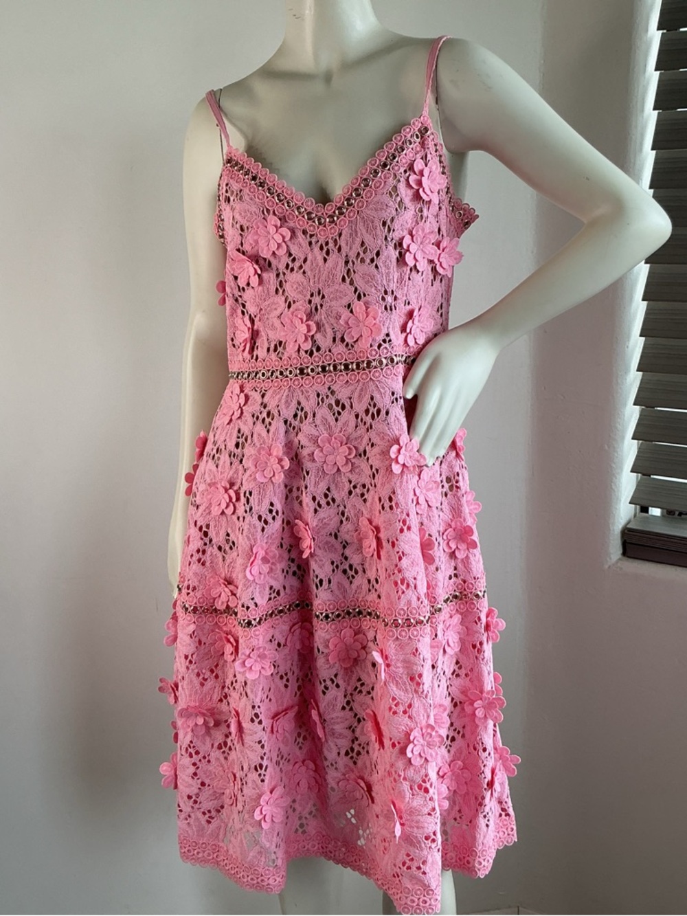 Pink Lace Dress 3D Floral Sleeveless Fit Flare Size 8 Romantic Fairy Whimsical